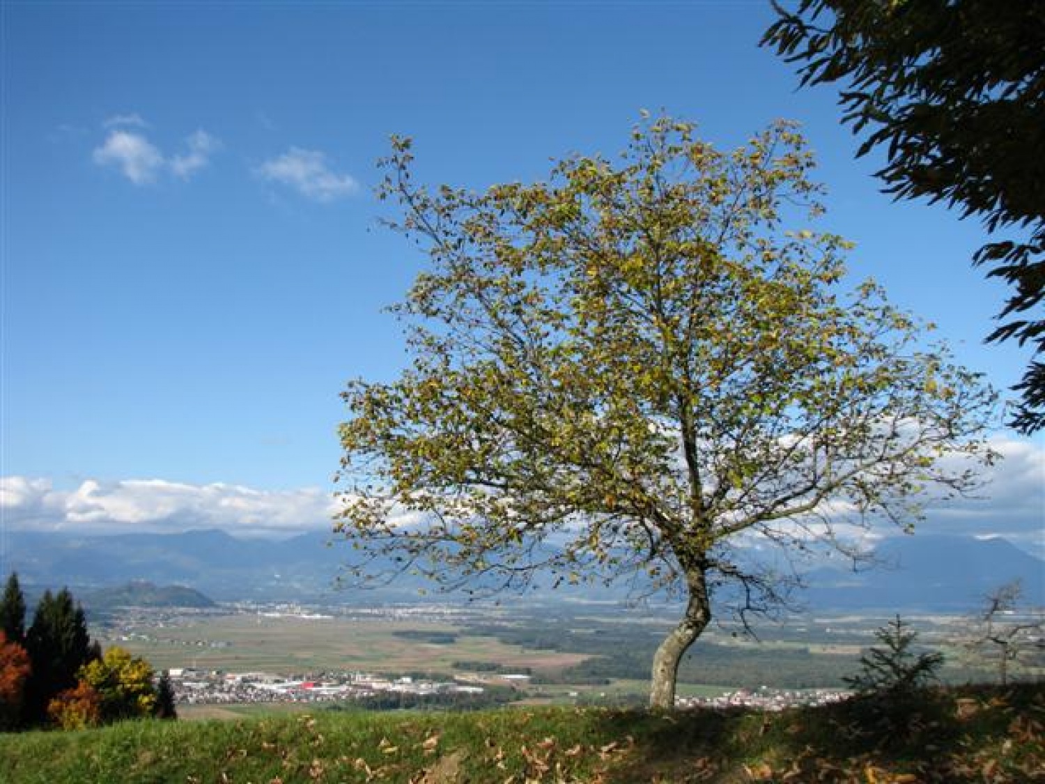 Skavtski treking: Ljubljana - Škofja Loka ali obratno