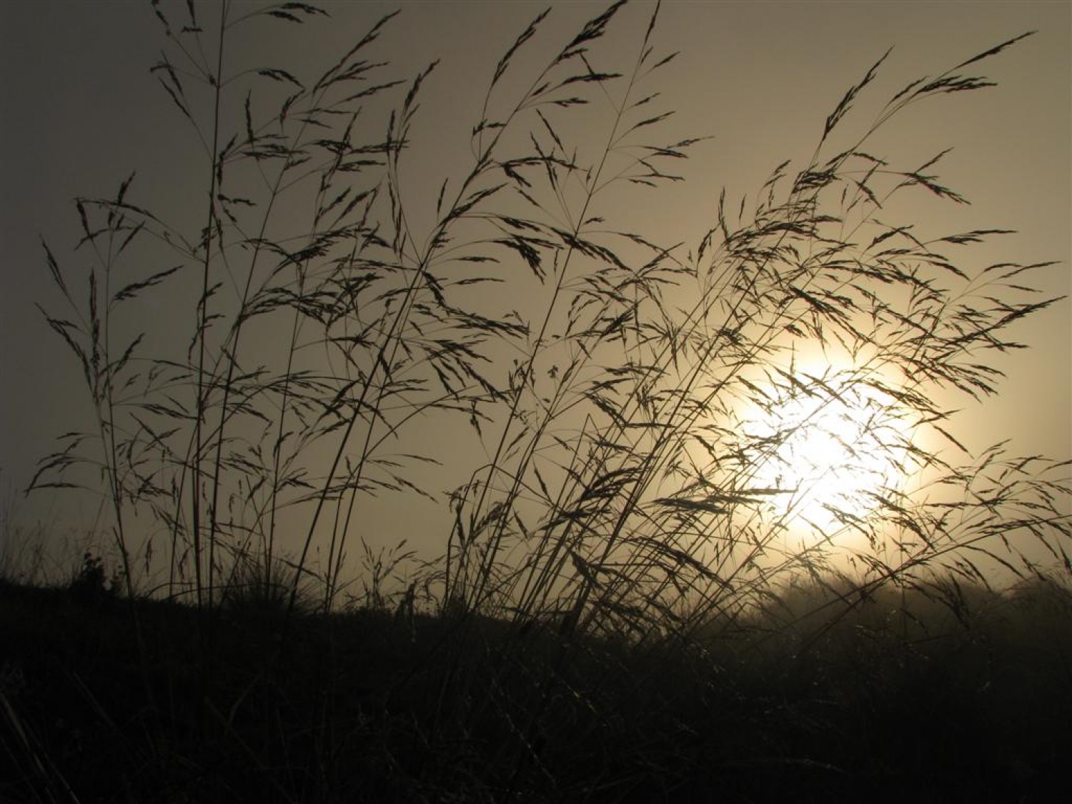 Lepota sončnega zahoda