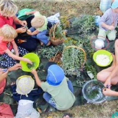 DVE LETI SKAVTSKEGA ZDRAVJA