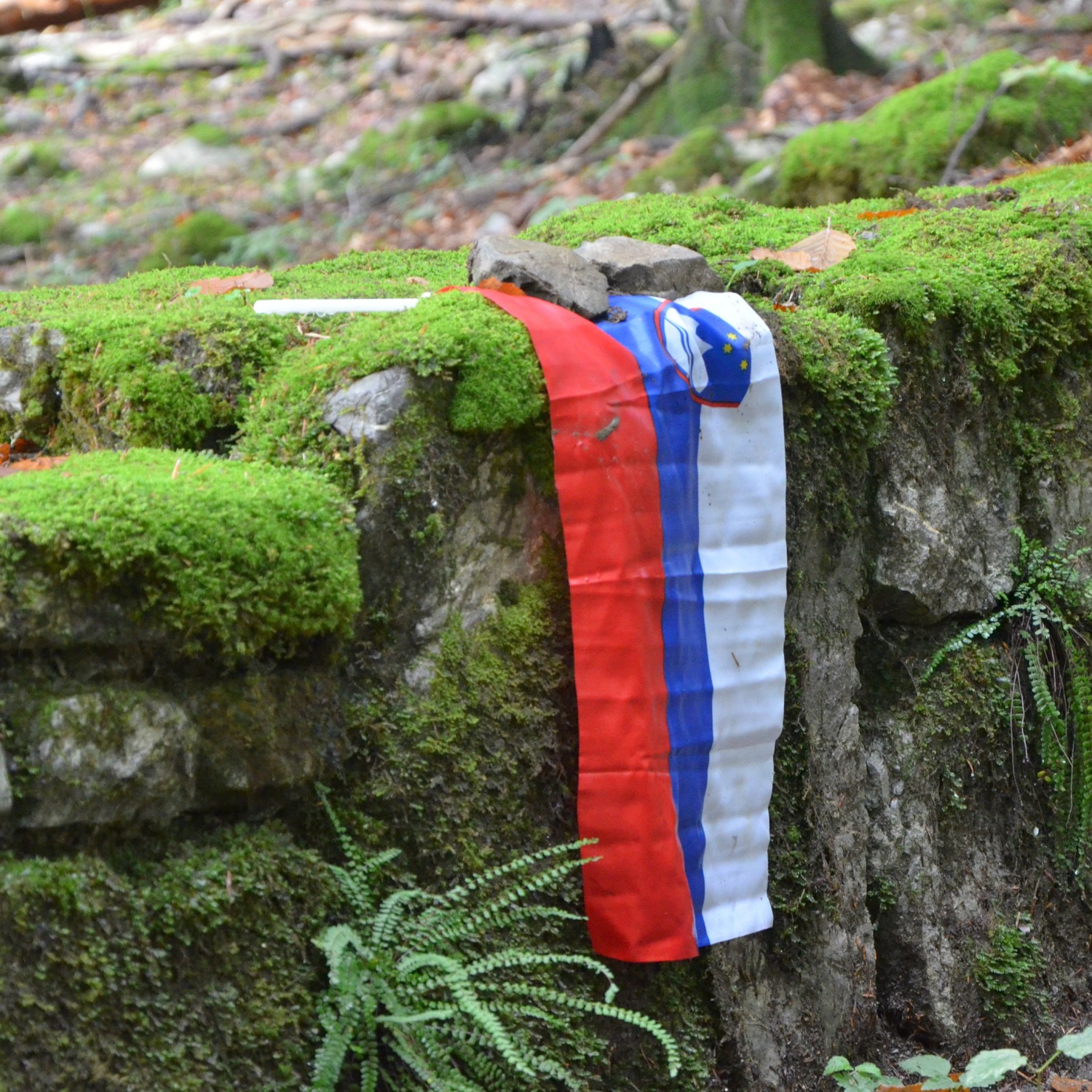 Spomin na odrasle skavte iz Štepanje vasi