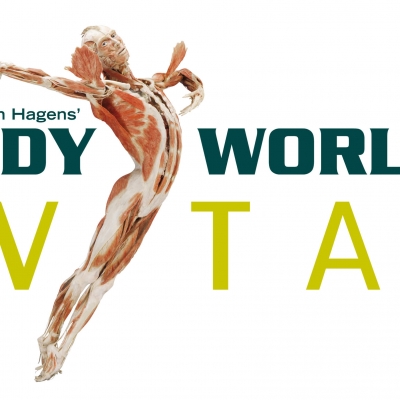 Skavti sodelujemo pri razstavi Body Worlds Vital