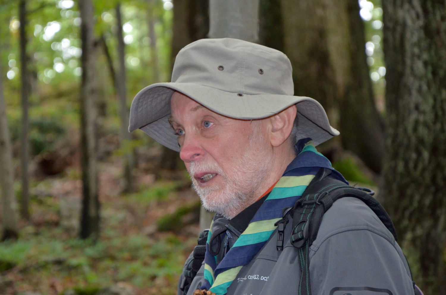 Razlaga pomena pragozda in povabilo v tišino