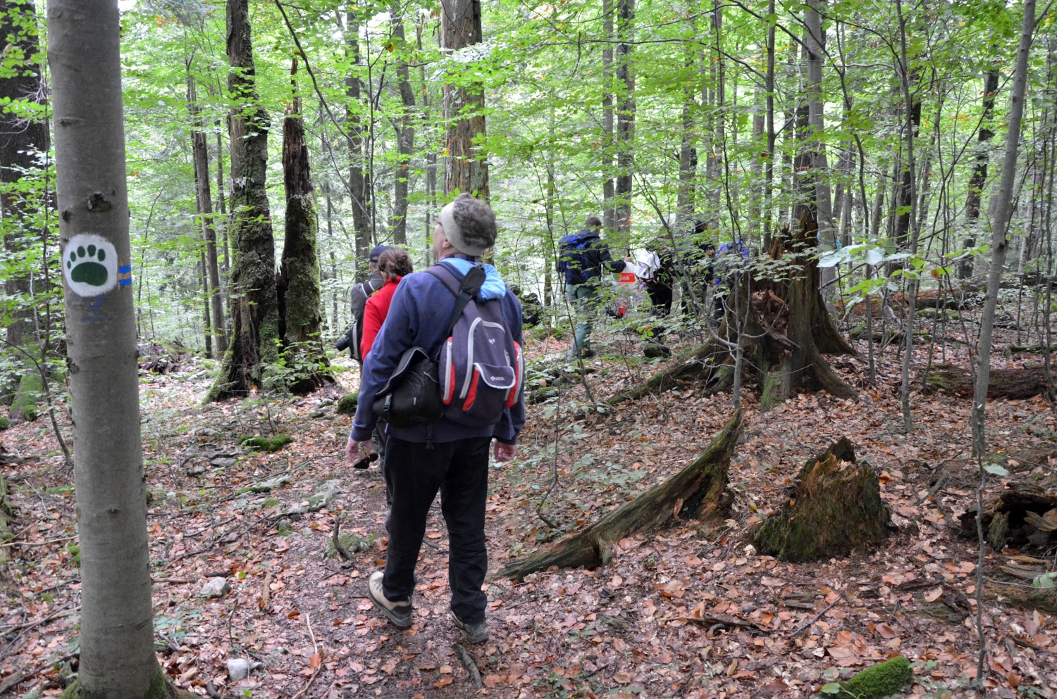 Vstopamo v svet velikanov