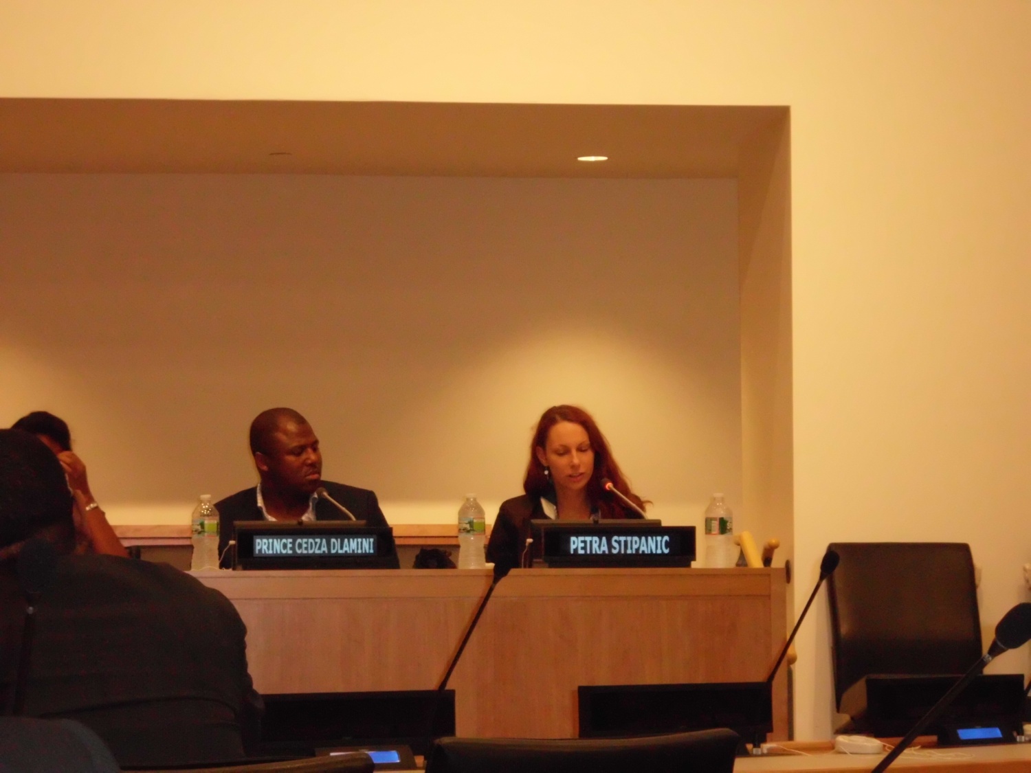 Moja skavtska kariera - od volčiča do članice v WAGGGSovem odboru