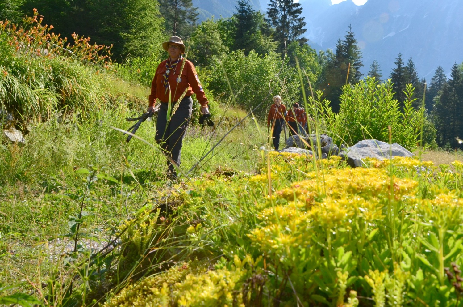 Nosimo drva za starejšo ženico