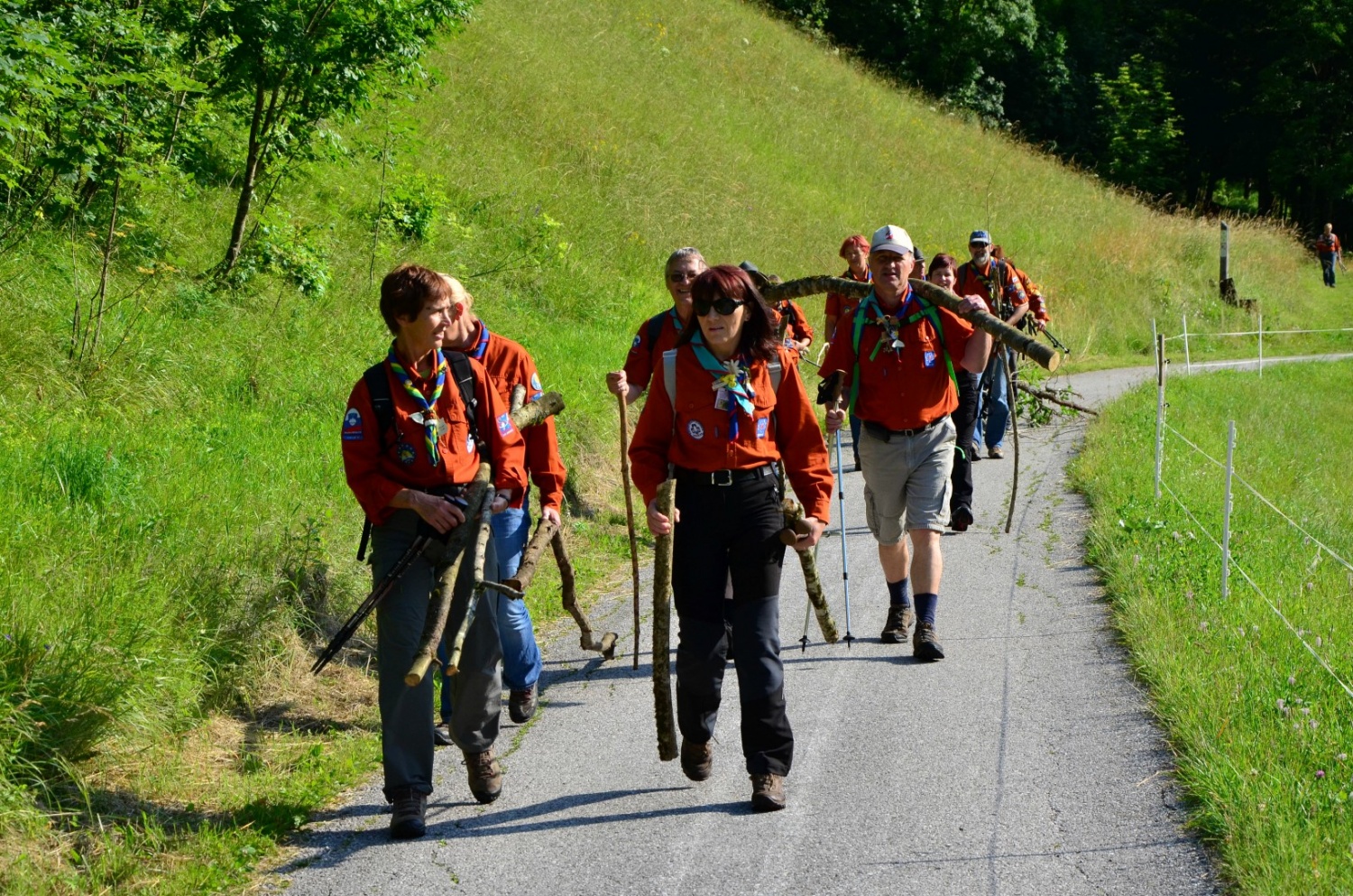Nosimo drva za starejšo ženico 1