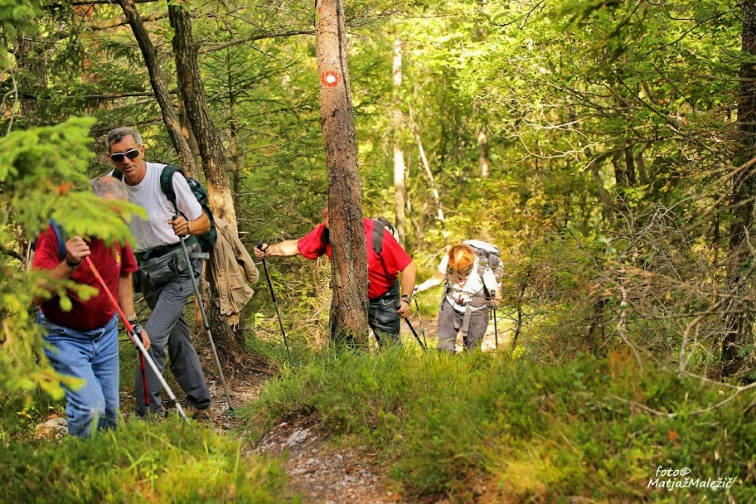 Nazaj na sedlo Davovec
