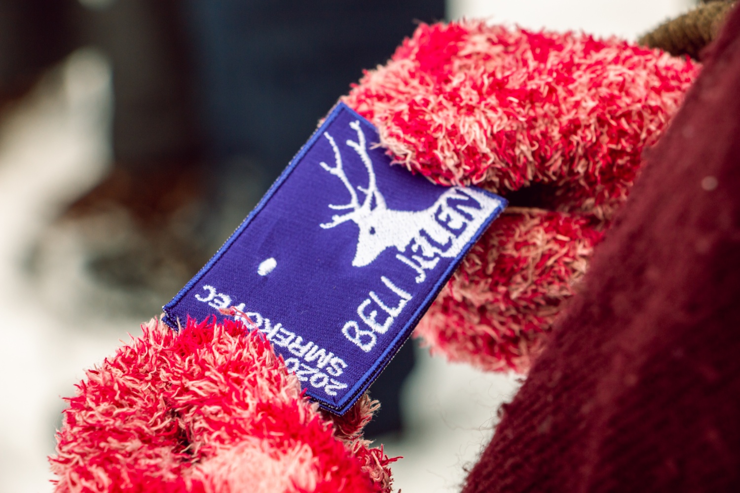 Beli jelen 2020: Komaj sem se jim skril!