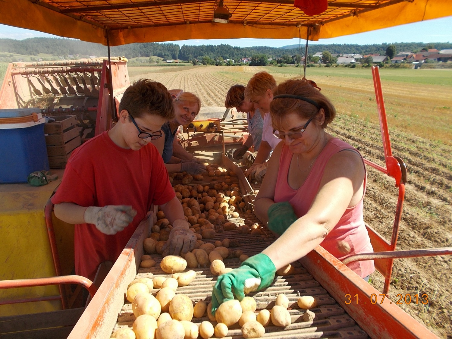 Krompirjeva akcija Grosupeljskih skavtov