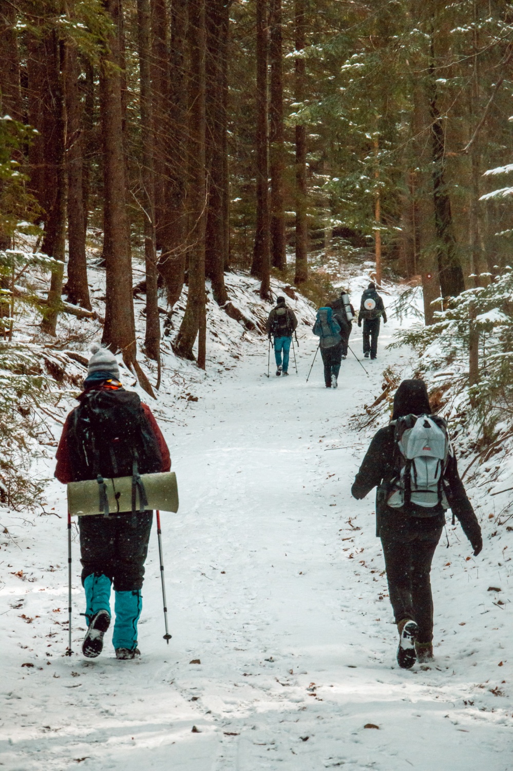Beli jelen 2020: Komaj sem se jim skril!