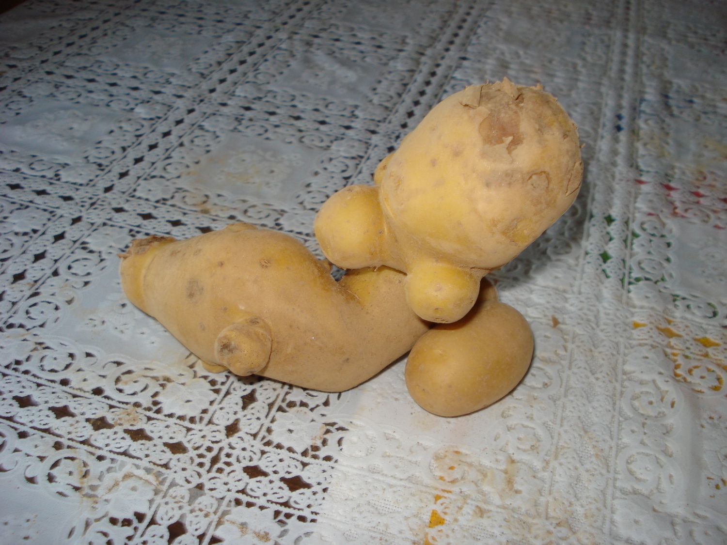 Krompirjeva akcija Grosupeljskih skavtov