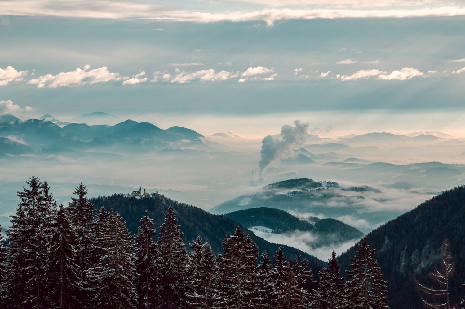 Beli jelen 2020: Komaj sem se jim skril!