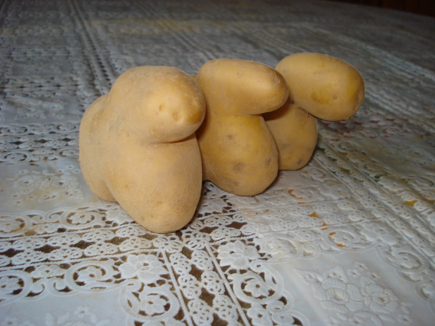 Krompirjeva akcija Grosupeljskih skavtov