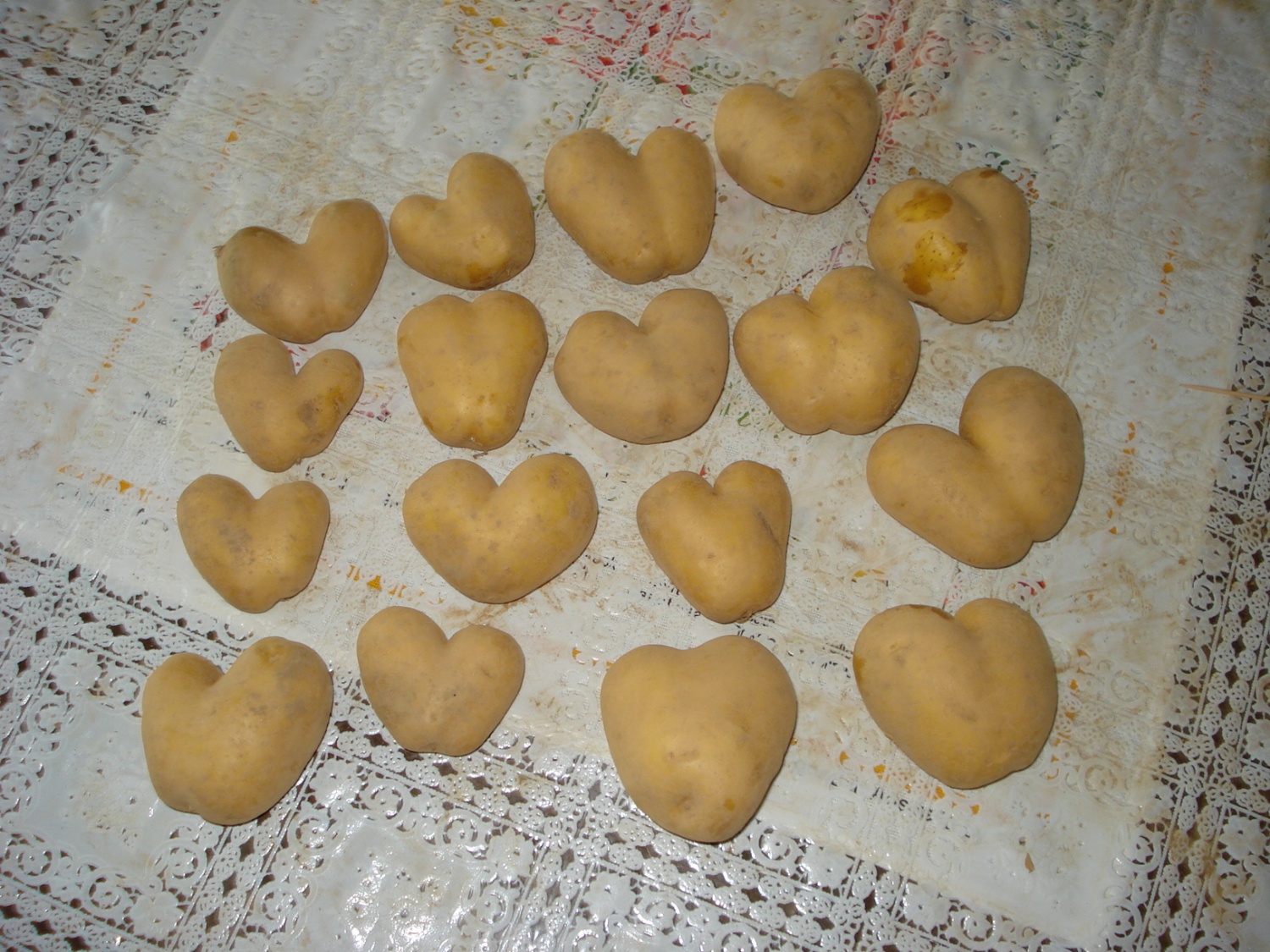 Krompirjeva akcija Grosupeljskih skavtov