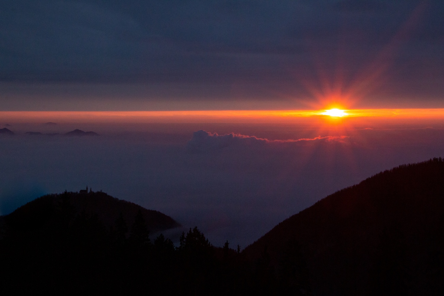 Beli jelen 2020: Komaj sem se jim skril!