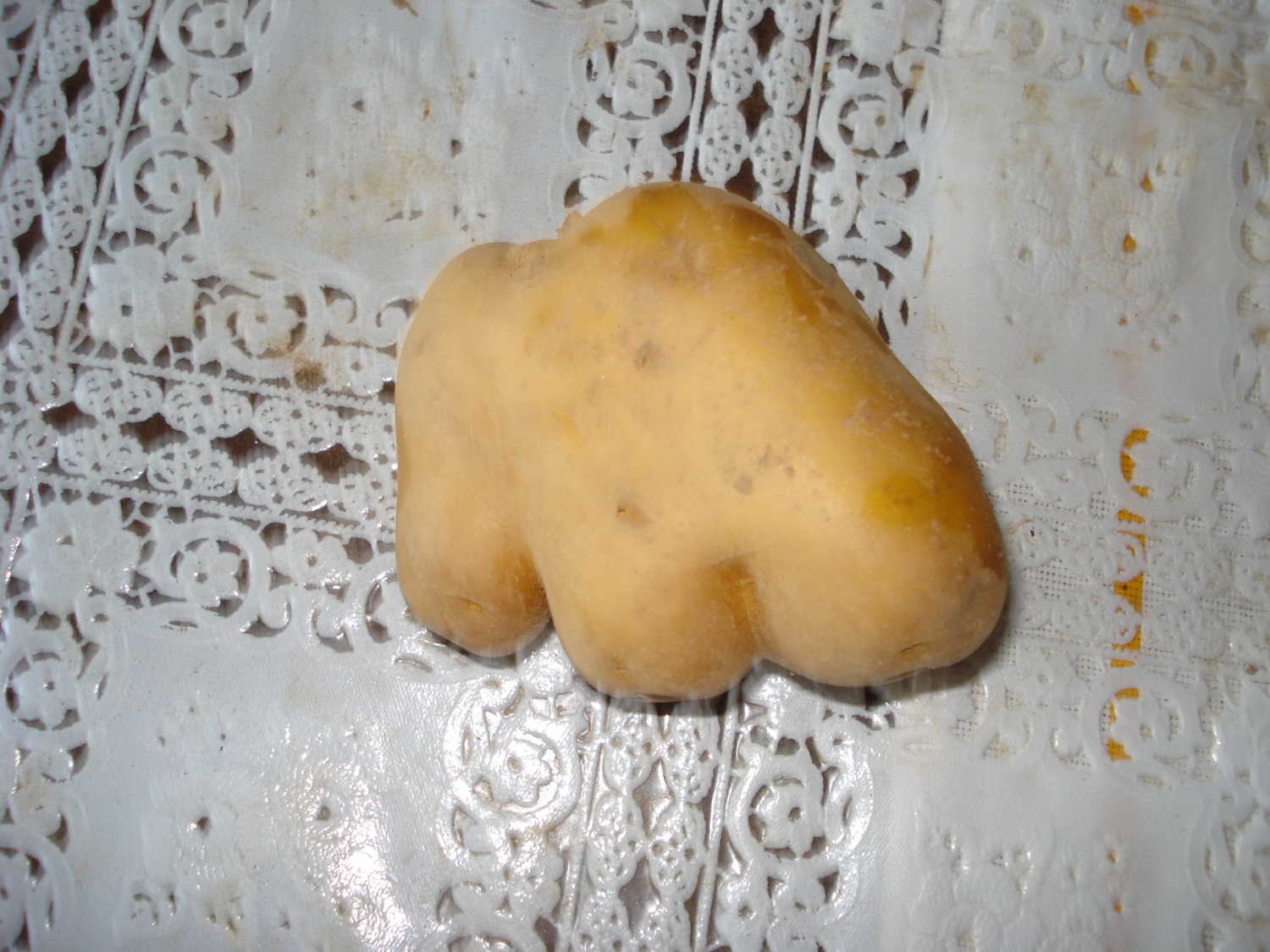 Krompirjeva akcija Grosupeljskih skavtov