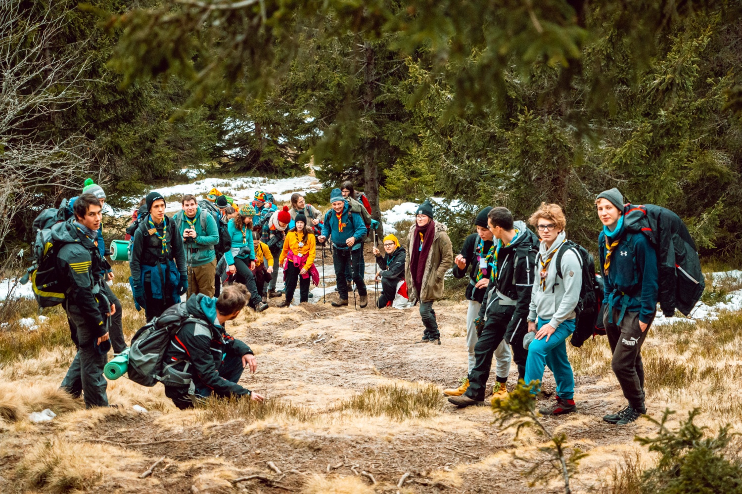 Beli jelen 2020: Komaj sem se jim skril!