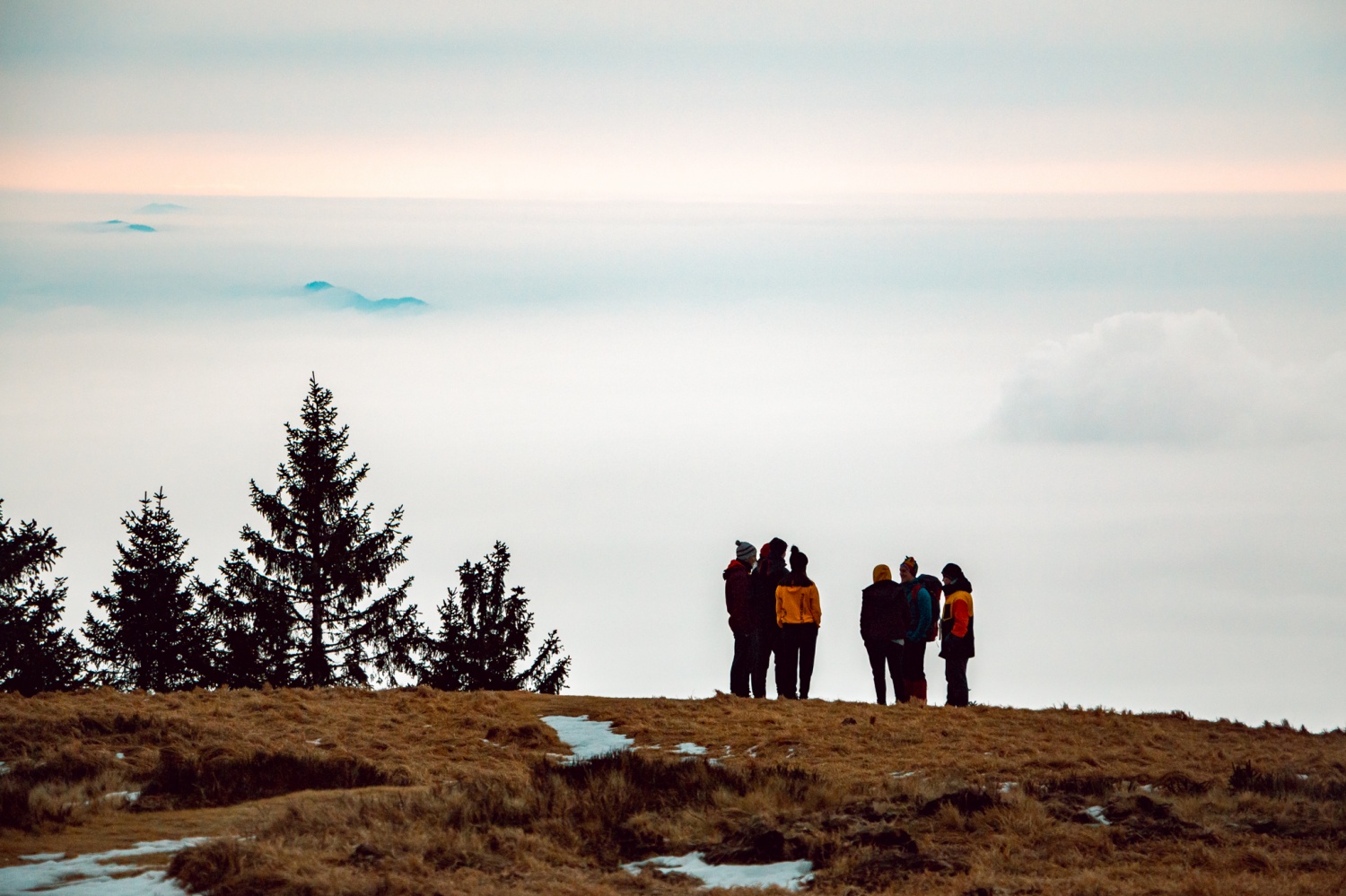 Beli jelen 2020: Komaj sem se jim skril!