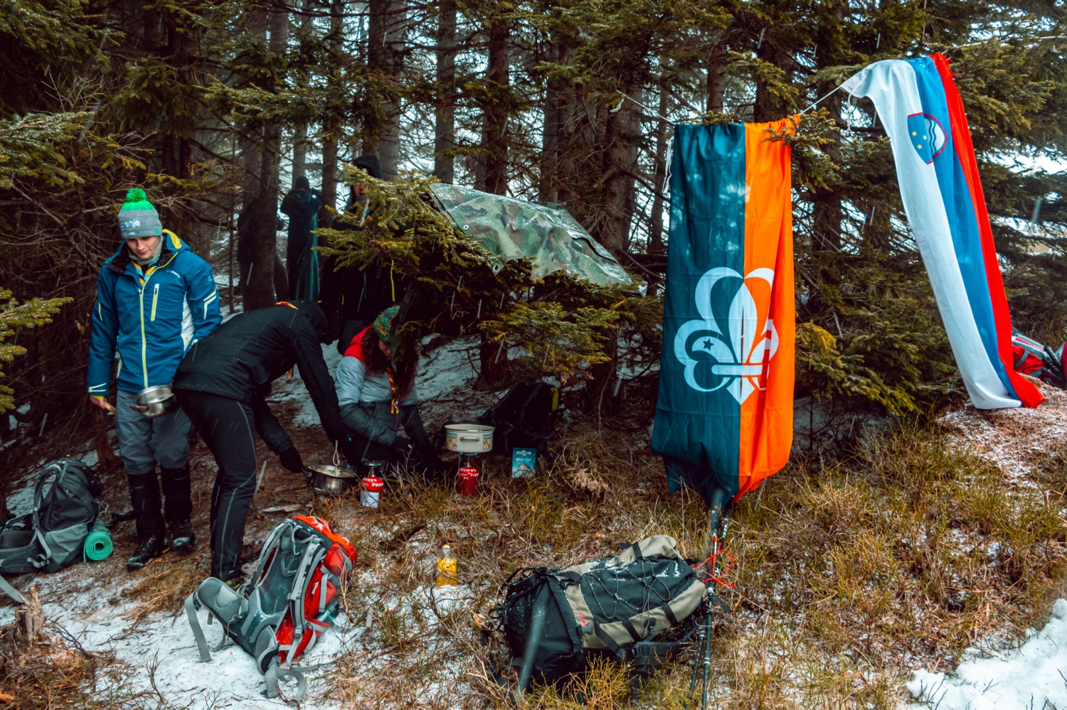 Beli jelen 2020: Komaj sem se jim skril!