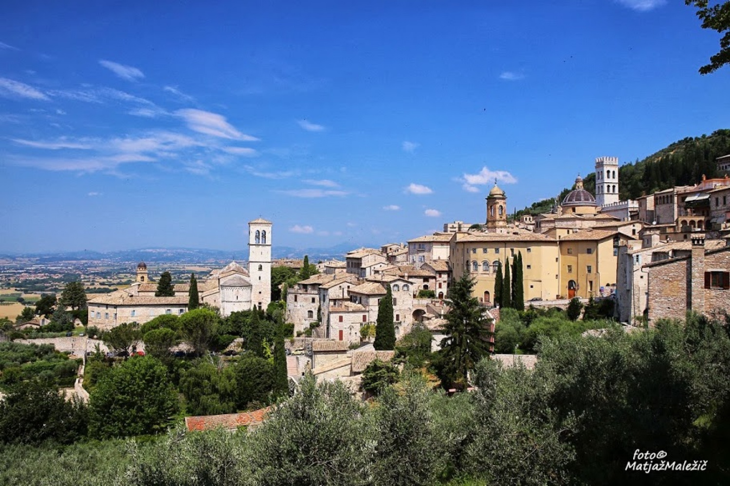 Assisi
