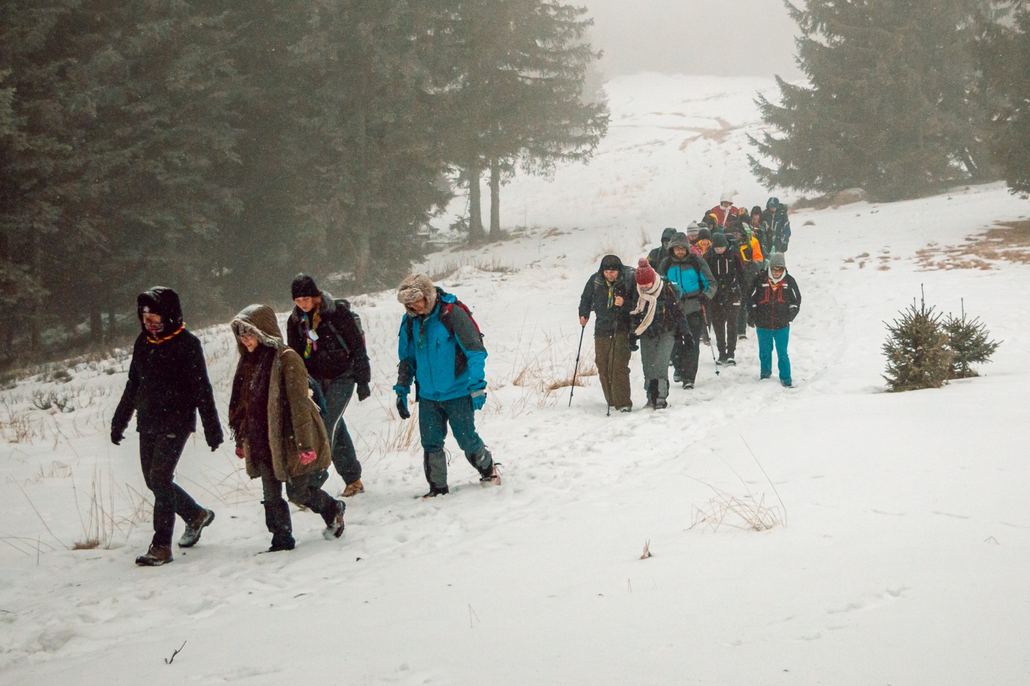 Beli jelen 2020: Komaj sem se jim skril!