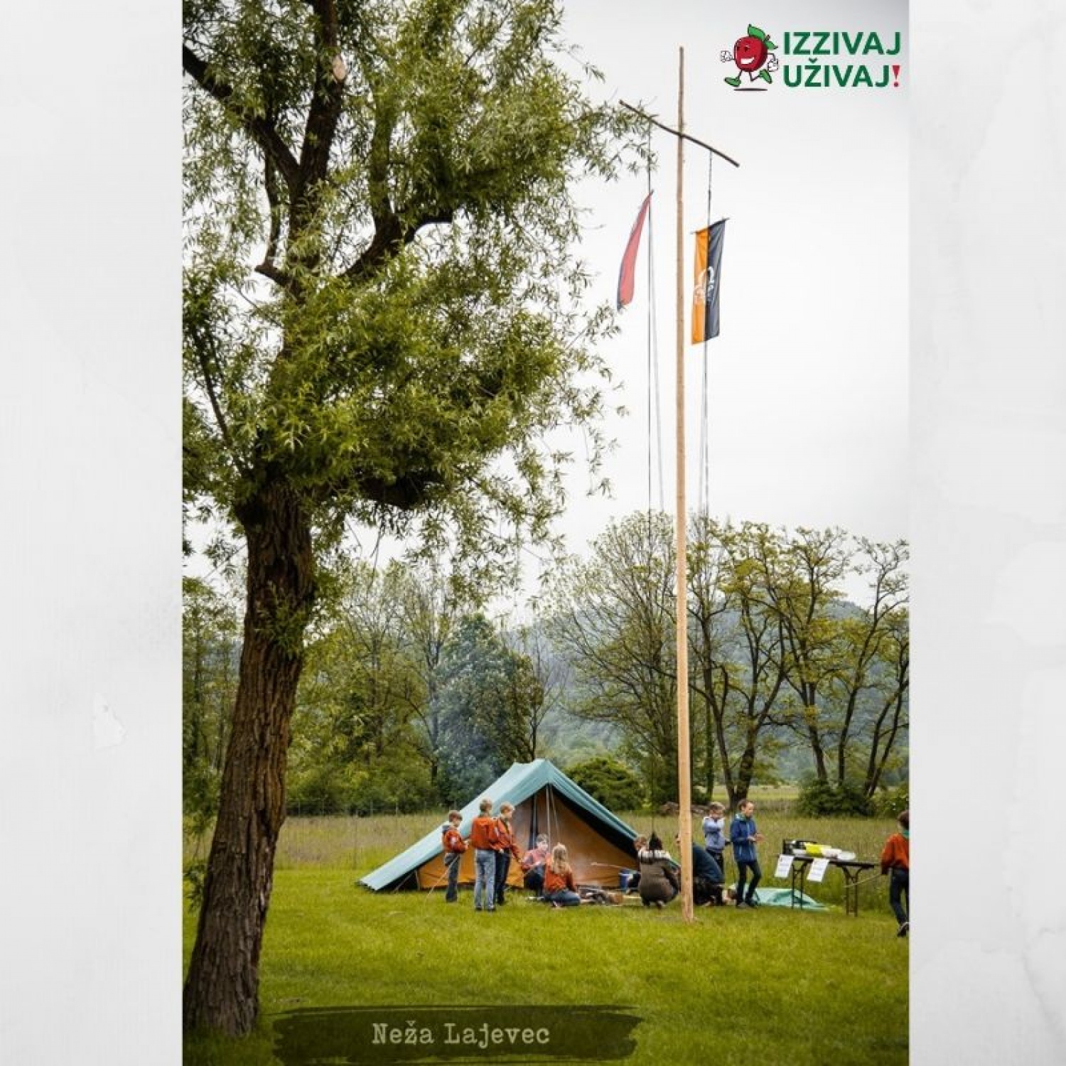 »Dvigni rit, bodi fit!«