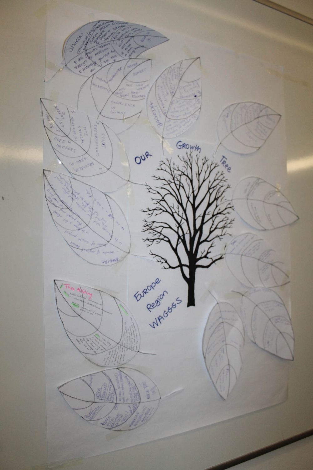 Mednarodno srečanje o rasti skavtskih oprganizacij