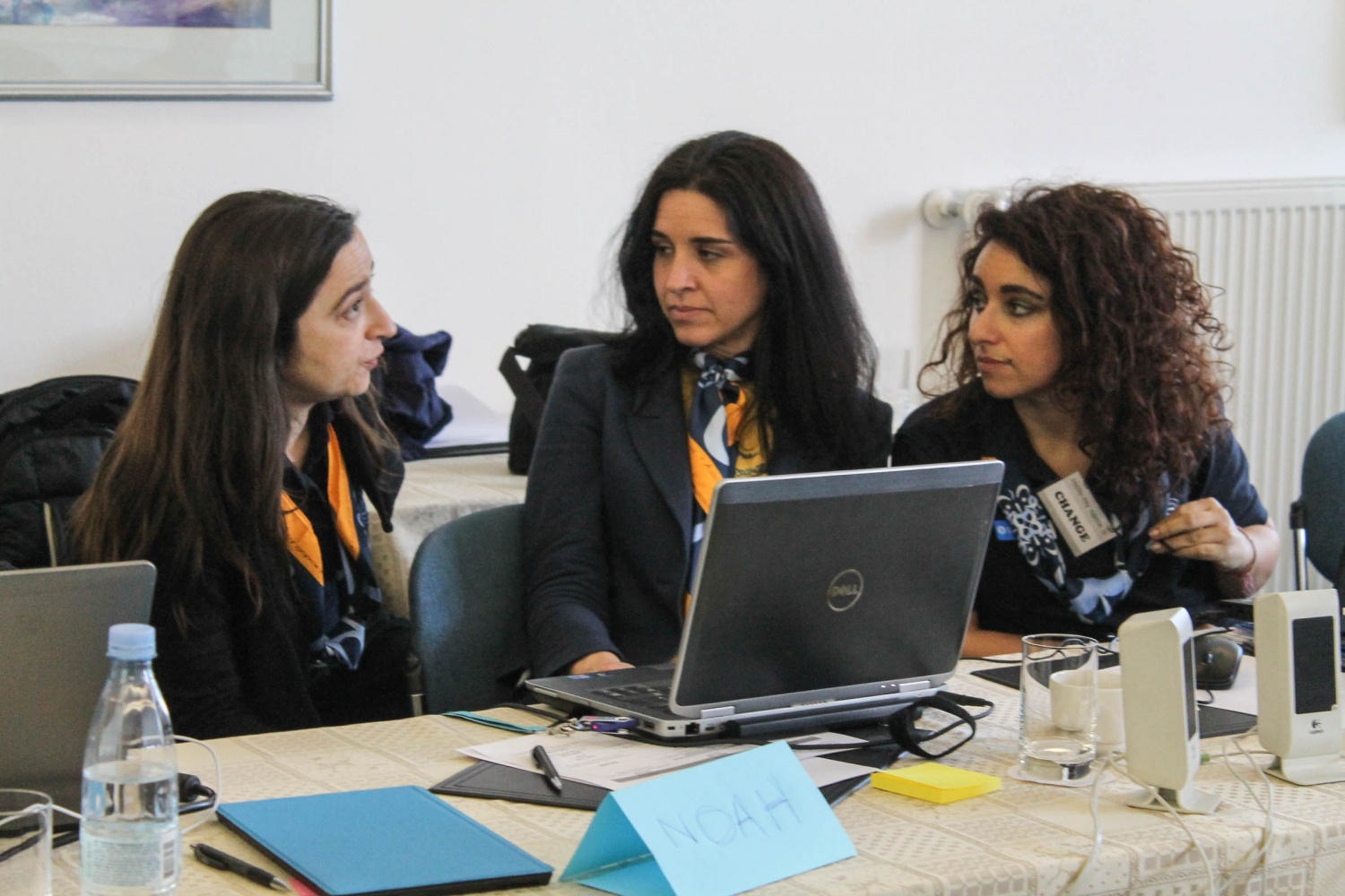 Mednarodno srečanje o rasti skavtskih oprganizacij