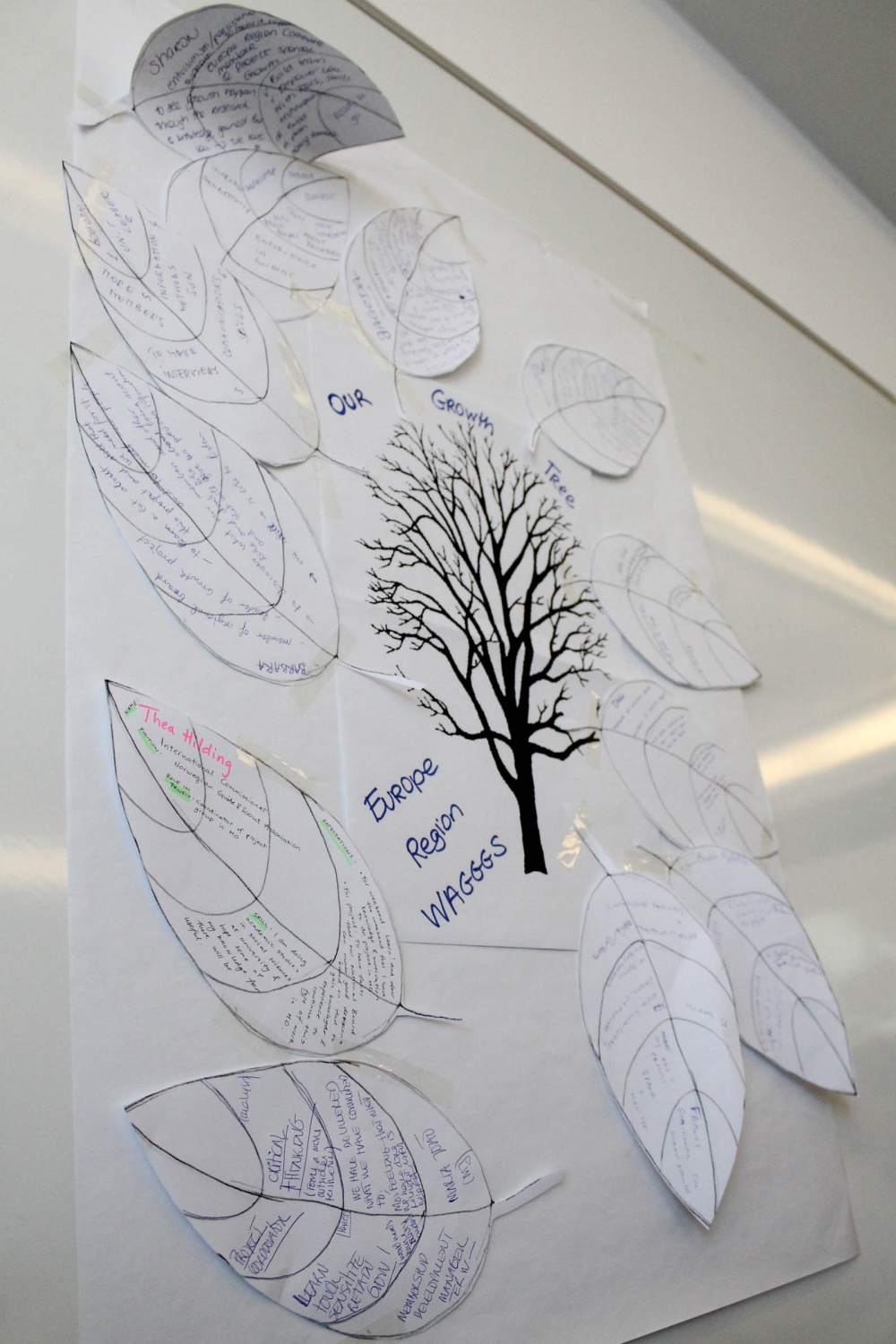 Mednarodno srečanje o rasti skavtskih oprganizacij