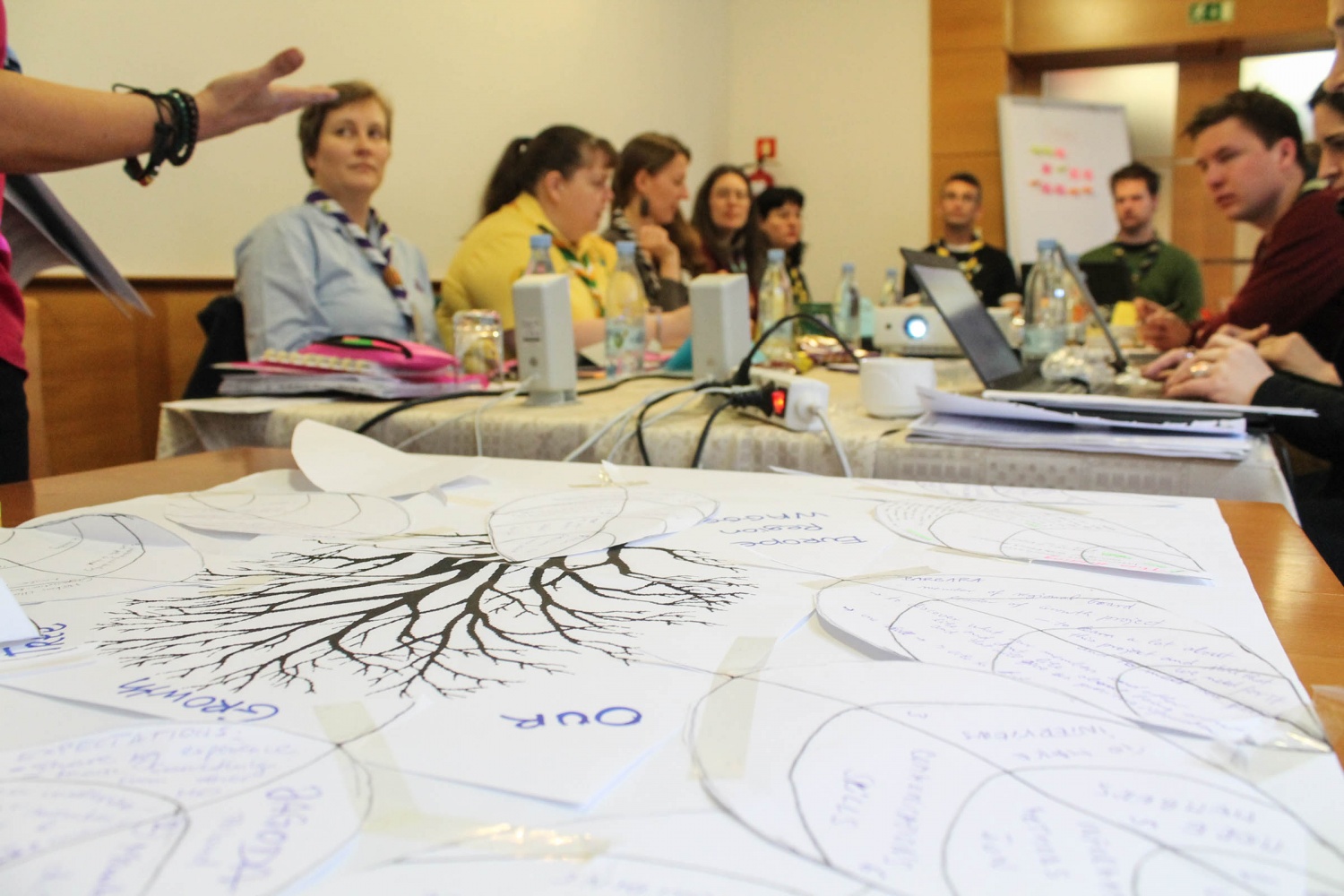 Mednarodno srečanje o rasti skavtskih oprganizacij