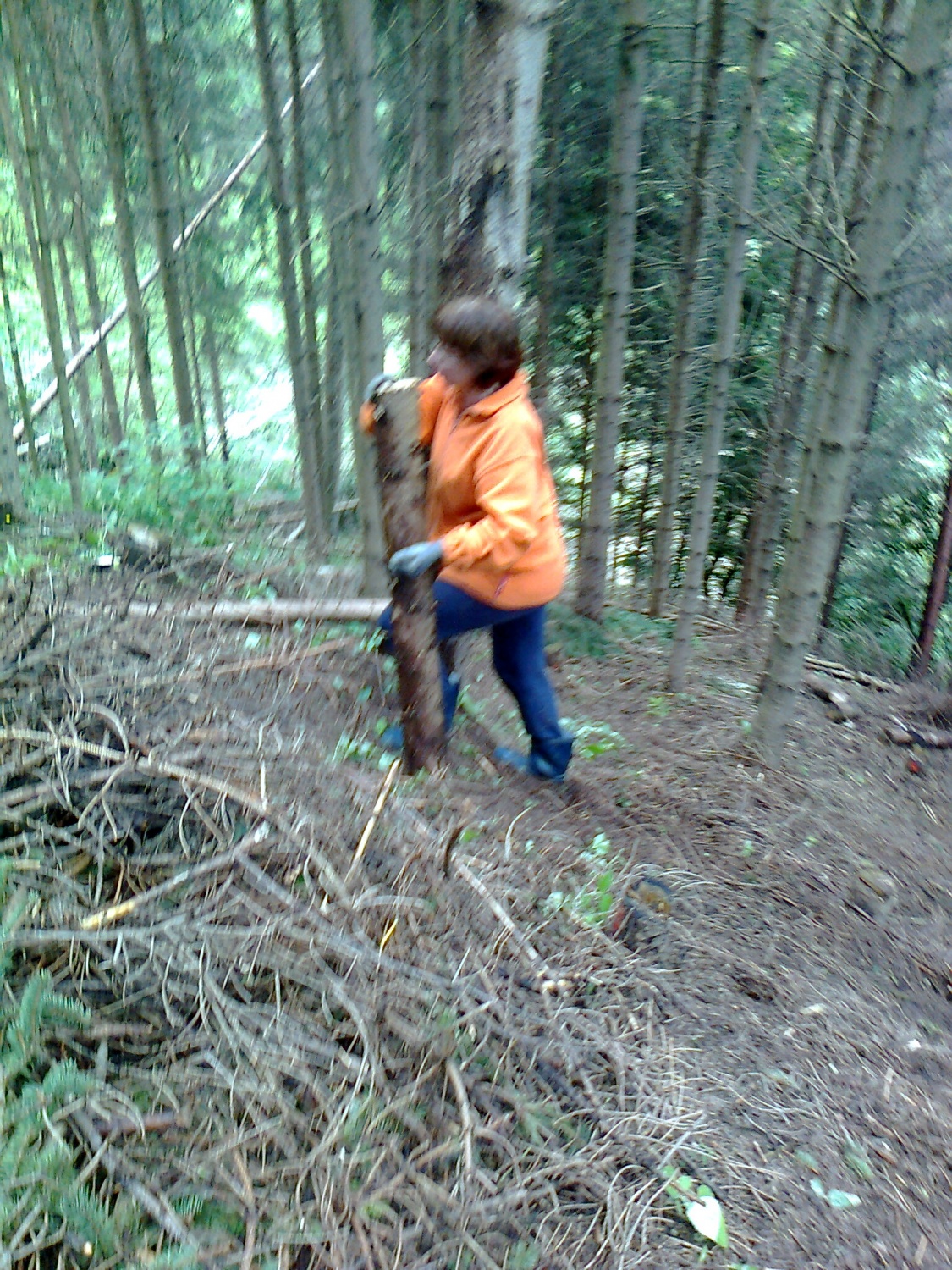 Debla do bila kar težka