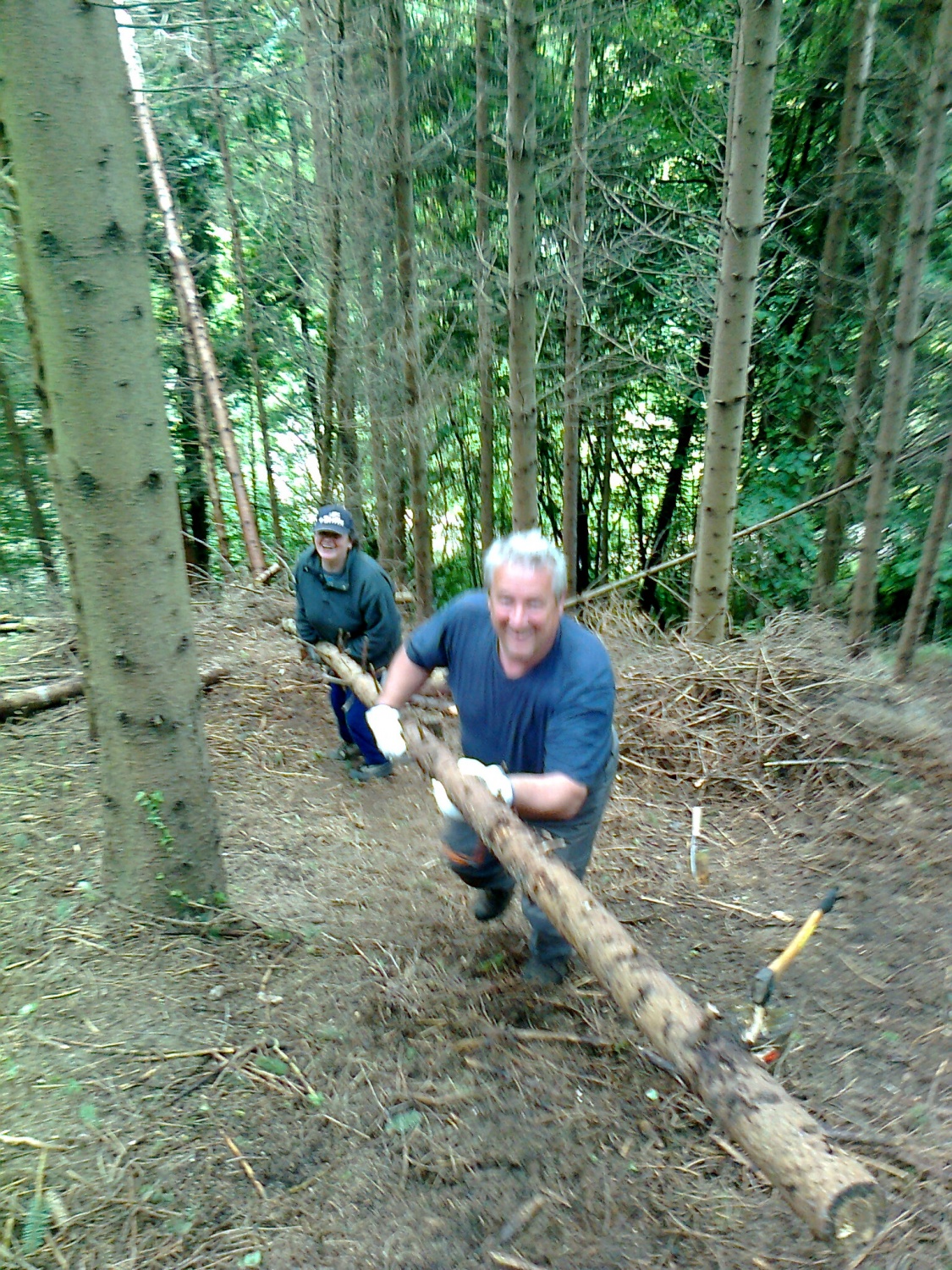 V hrib jih je poprijelo več