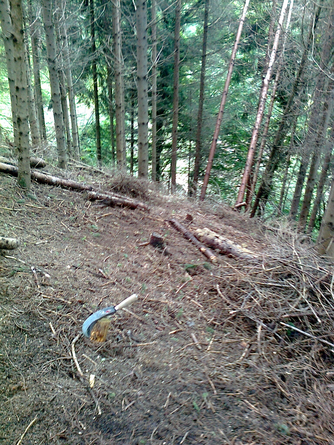 Pomoč skavtskemu prijatelju