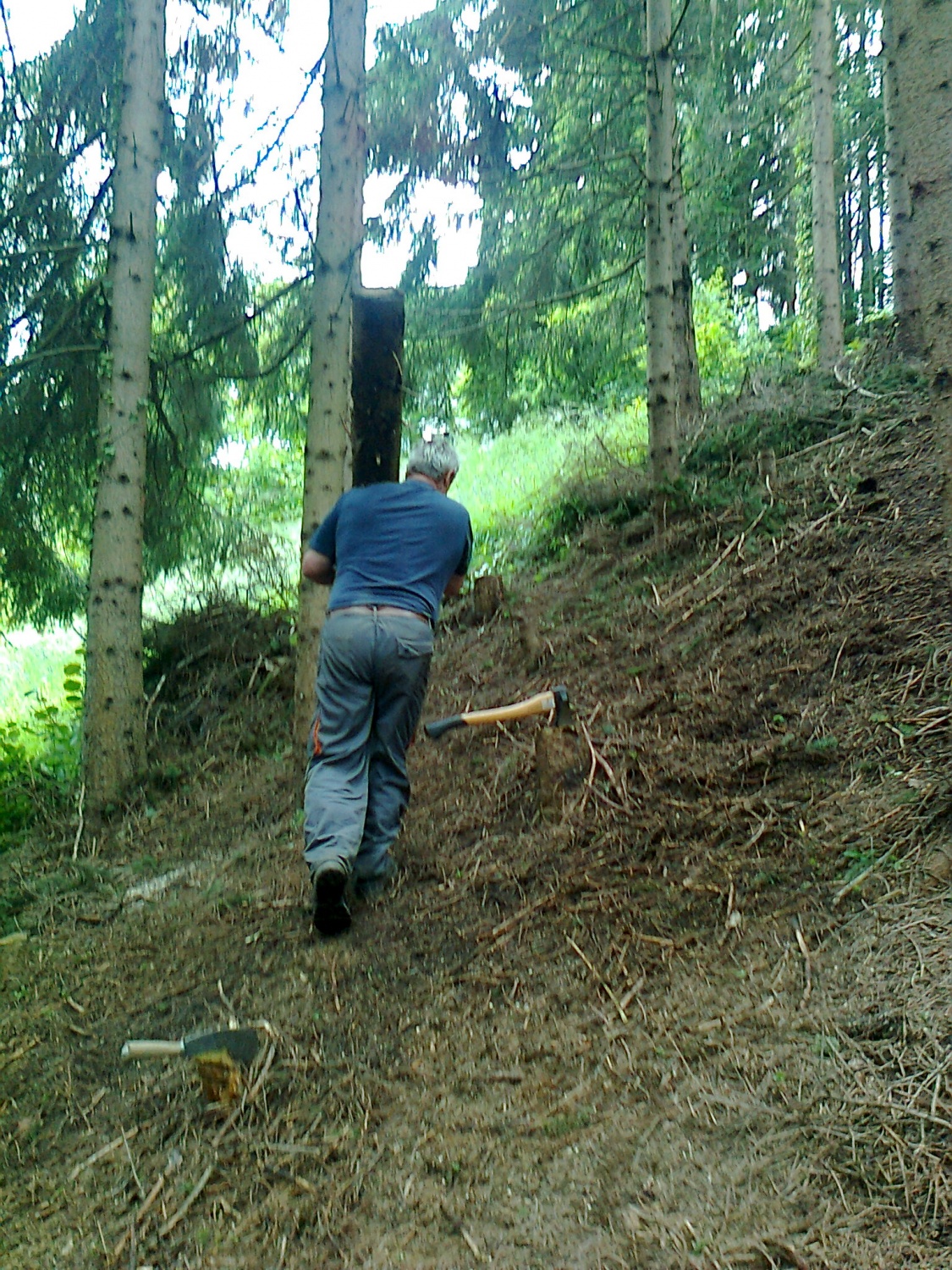 Pomoč skavtskemu prijatelju