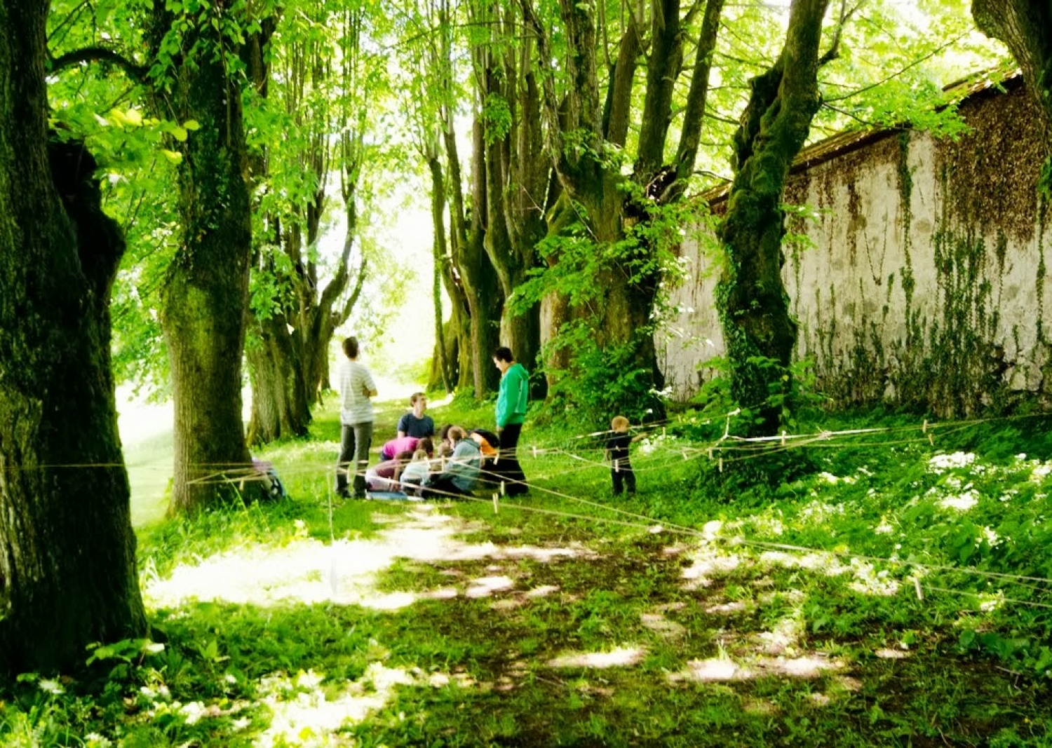 Vozičkarija 2013 (Škofja Loka)