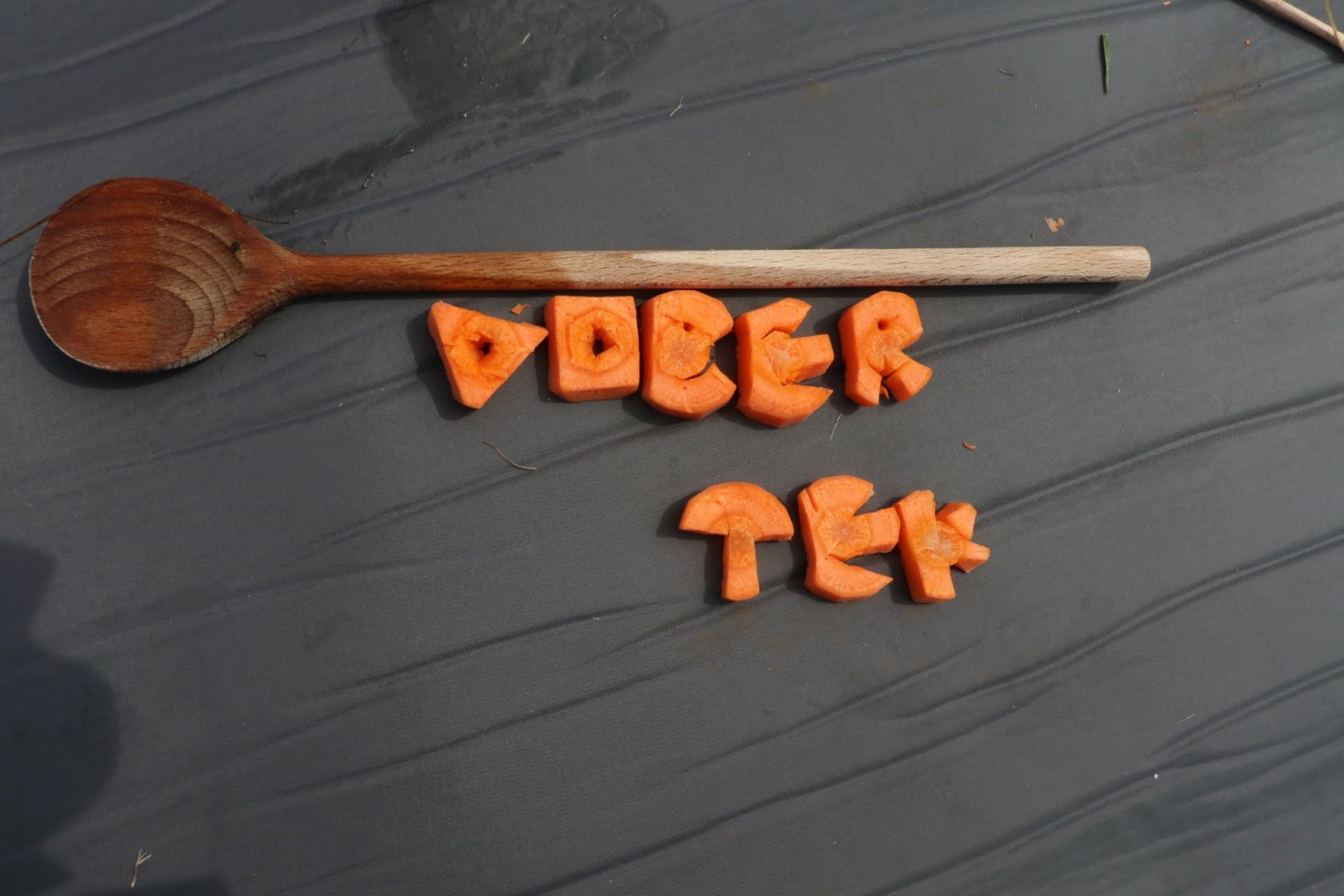 Mnogolončnica - 2. del