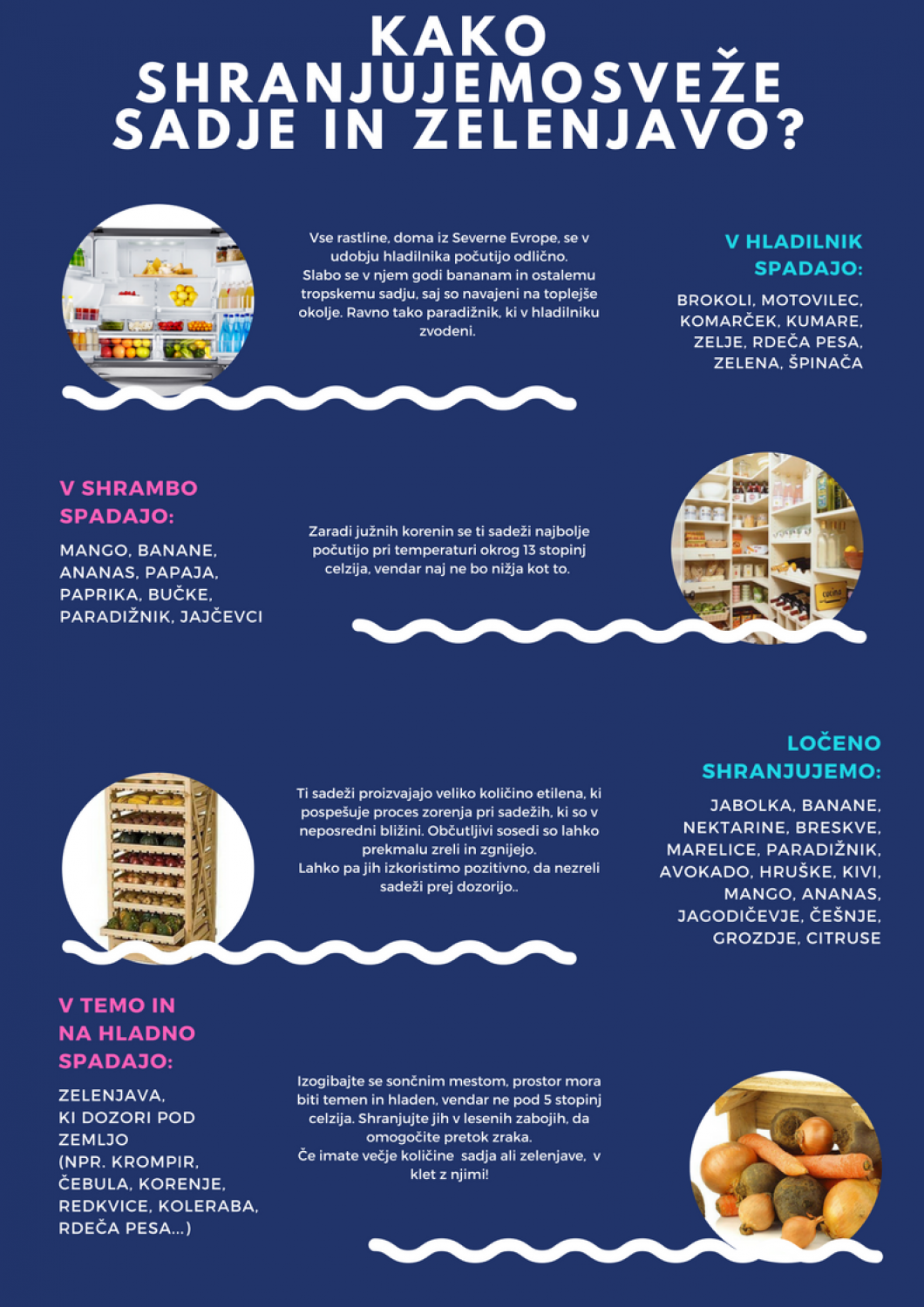 Mnogolončnica - 2. del