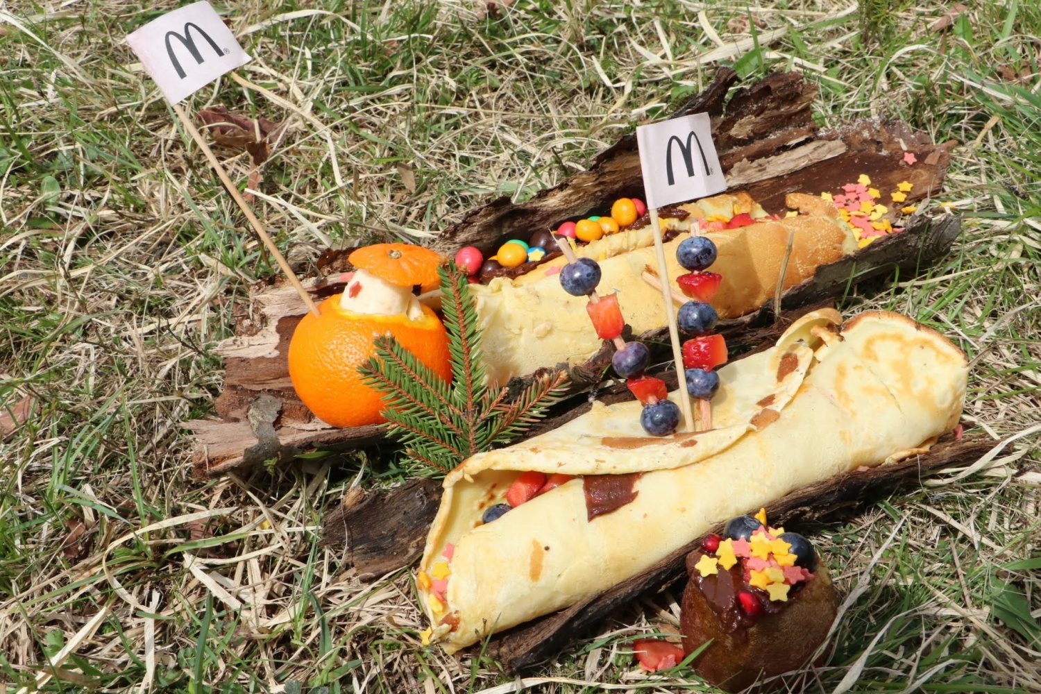 Mnogolončnica - 2. del