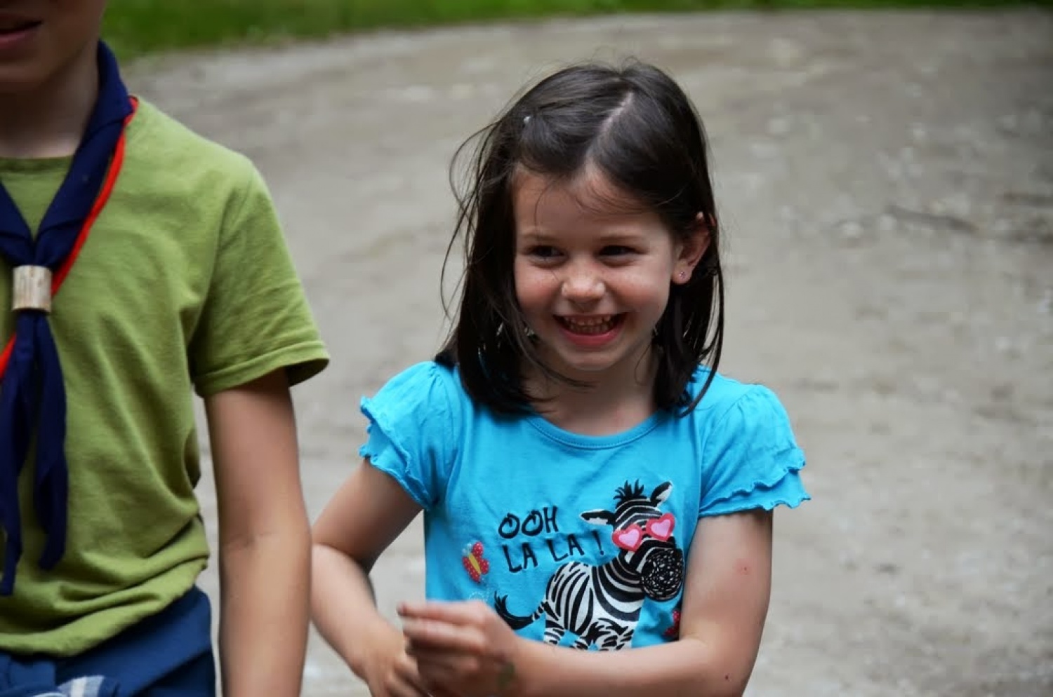 Vozičkarija 2013 (Škofja Loka)