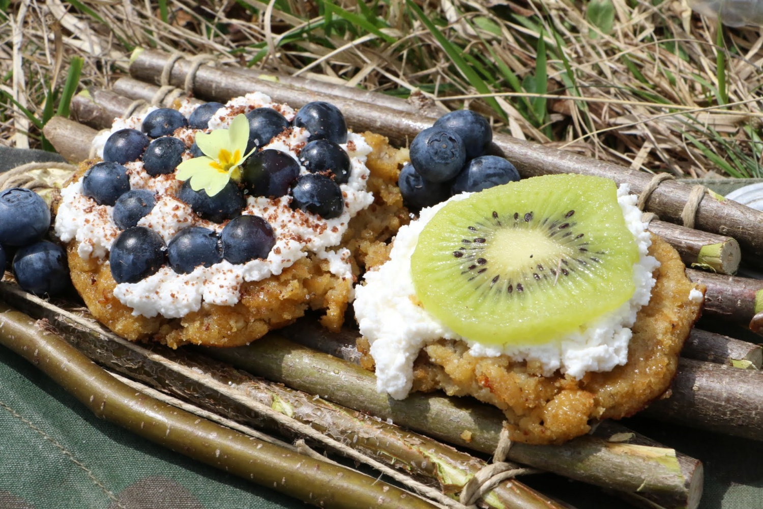 Mnogolončnica - 2. del