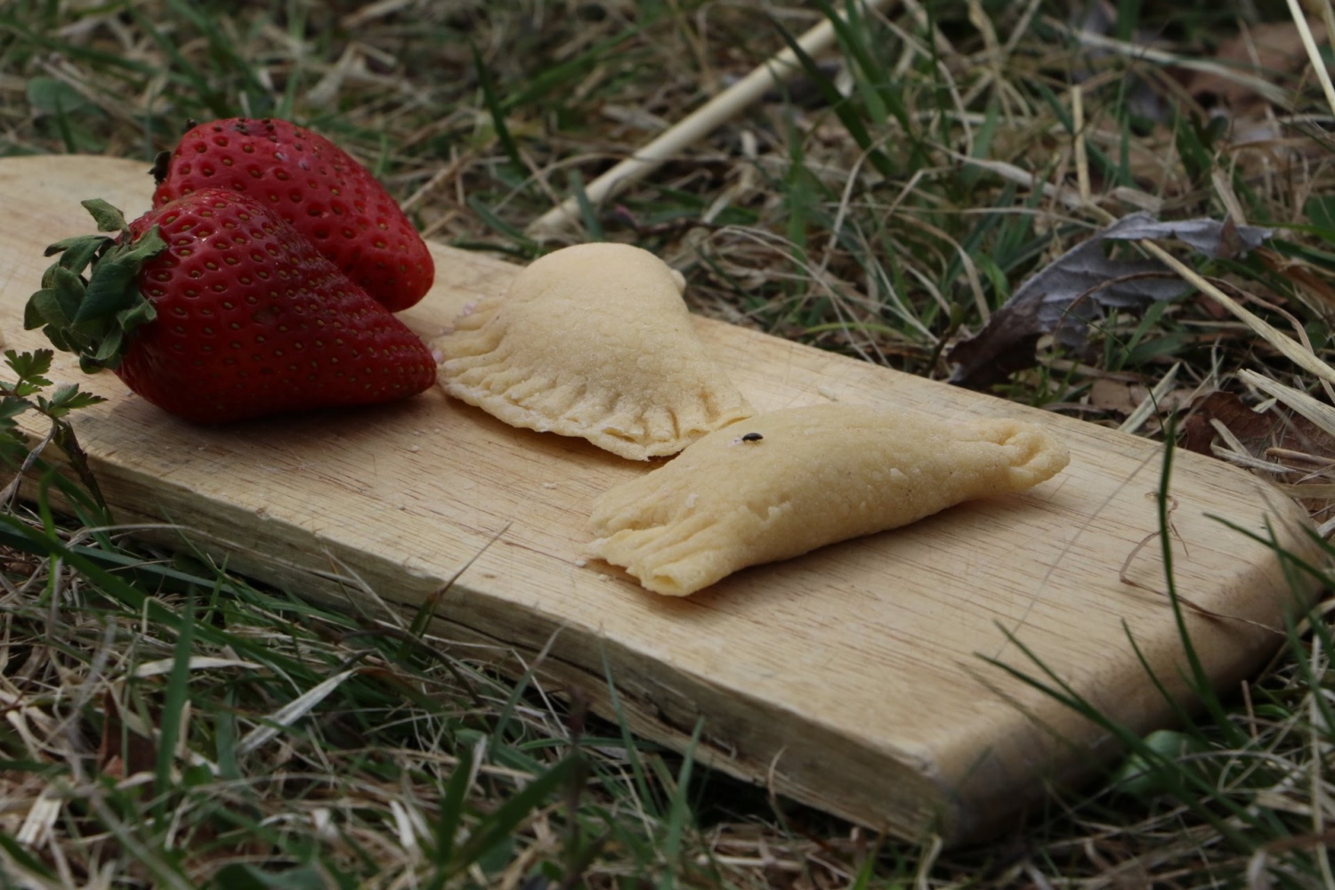 Mnogolončnica - 2. del