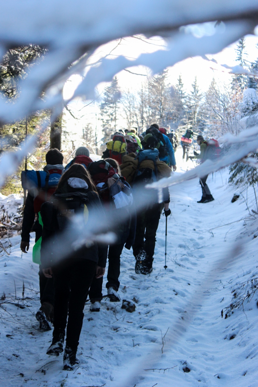 FOTO in VIDEO: V belem iskanju sreče