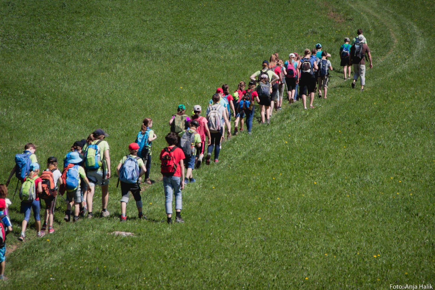 "Skavt, ne boj se, sledi moji slédi."