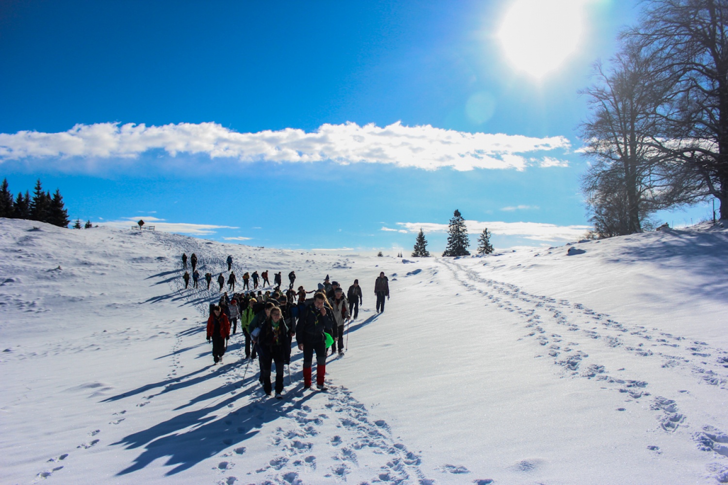 FOTO in VIDEO: V belem iskanju sreče