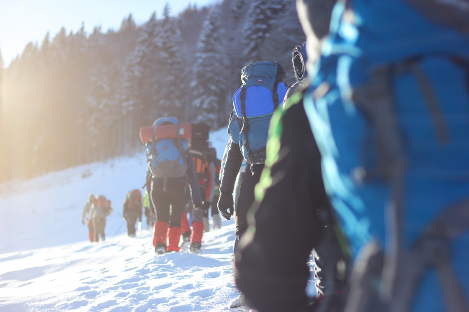 FOTO in VIDEO: V belem iskanju sreče