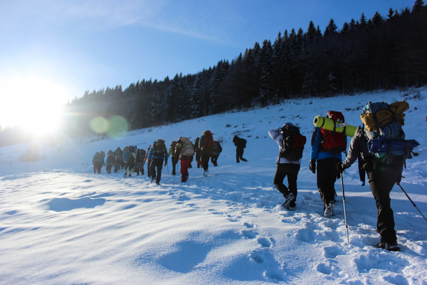 FOTO in VIDEO: V belem iskanju sreče