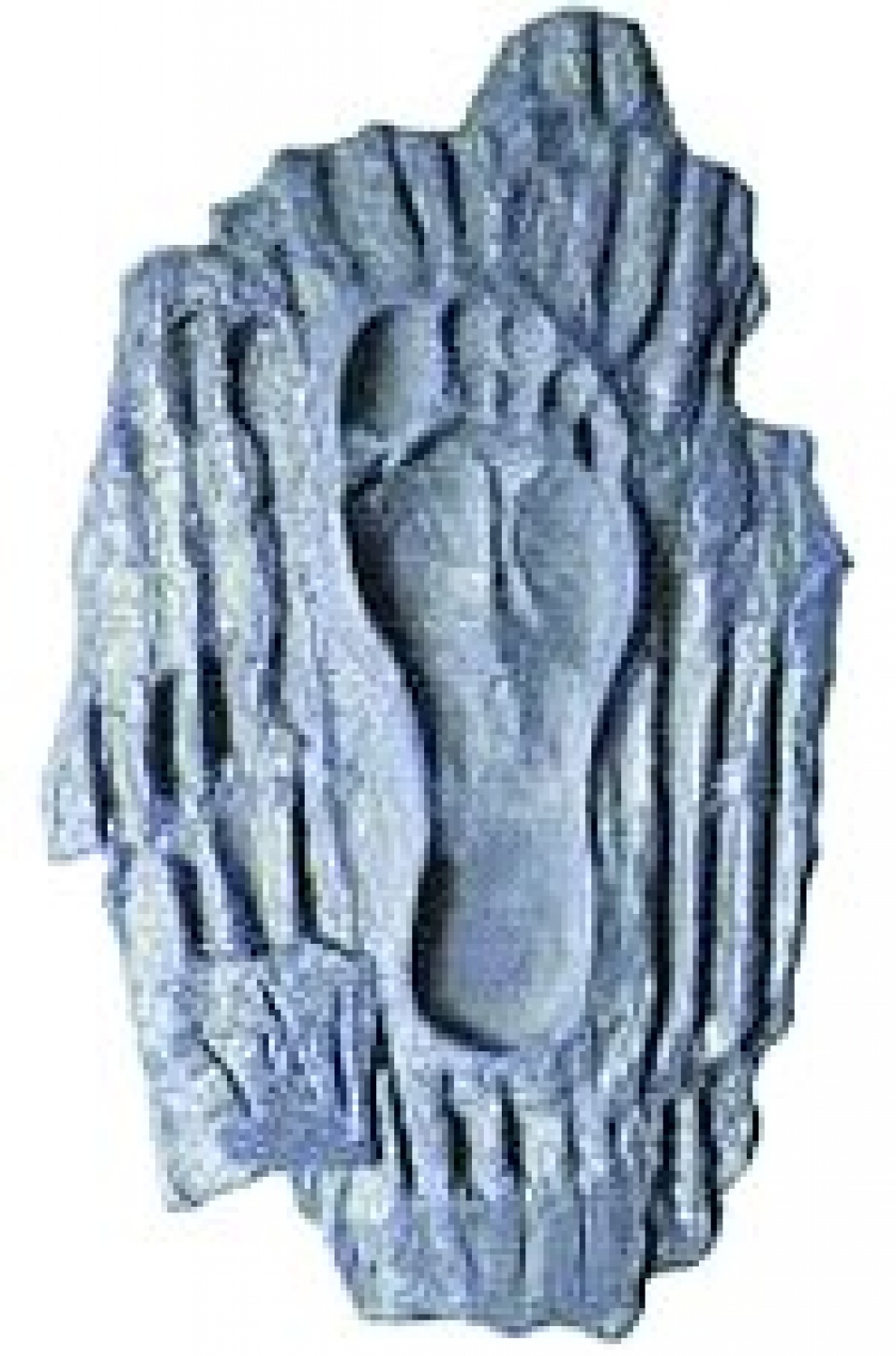 Stopinje svetega Martina