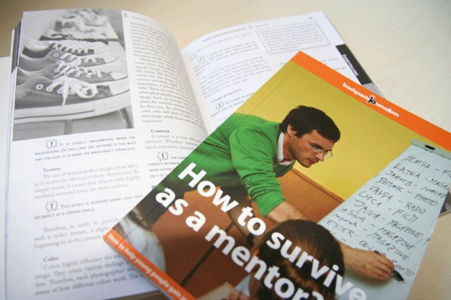 Naslovana stran priročnika "How to survive as Mentor?"