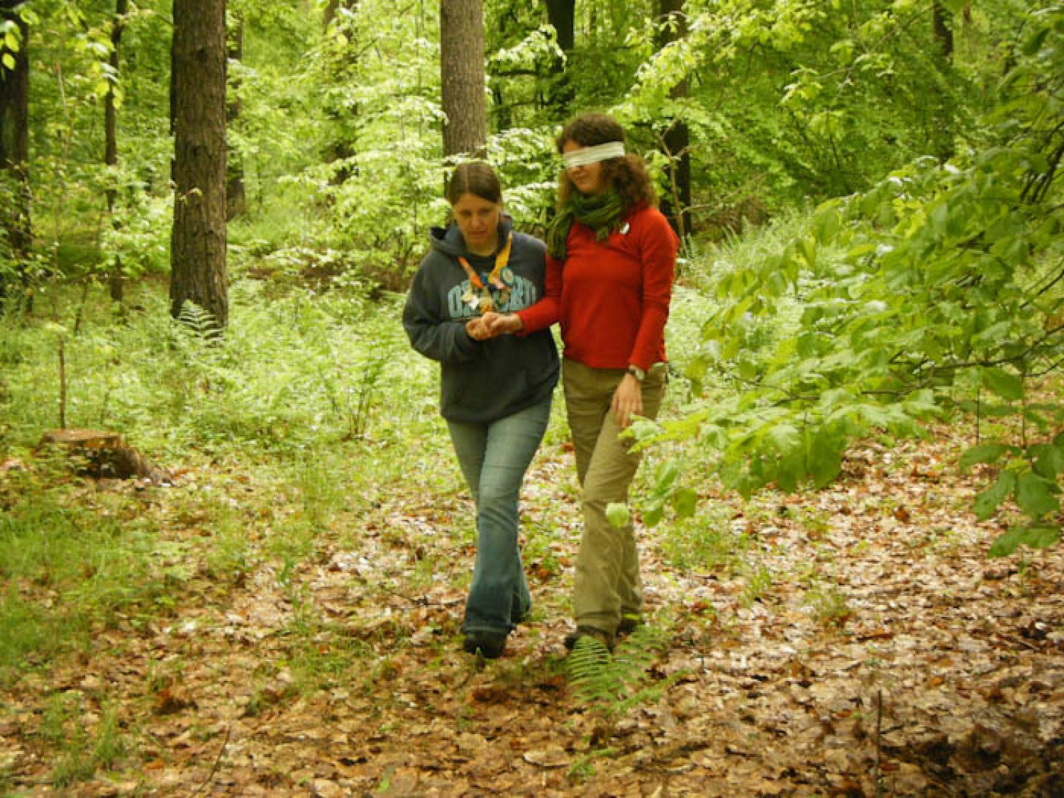 Aktivnosti v naravi (Green games)