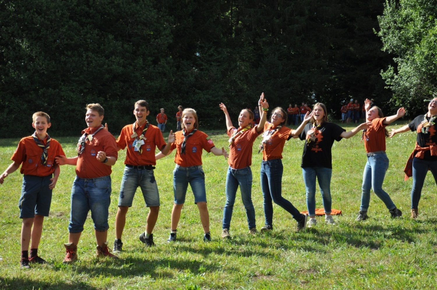 TZV 2 - Zmajevi bojevniki